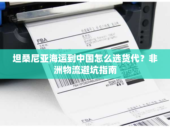 坦桑尼亚海运到中国怎么选货代？非洲物流避坑指南