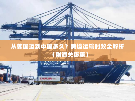 从韩国运到中国多久?跨境运输时效全解析(附通关秘籍) 从韩国运到中国多久?跨境运输时效全解析(附通关秘籍)