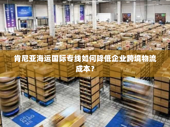 肯尼亚海运国际专线如何降低企业跨境物流成本？