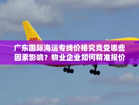 广东国际海运专线价格究竟受哪些因素影响？物业企业如何精准报价？