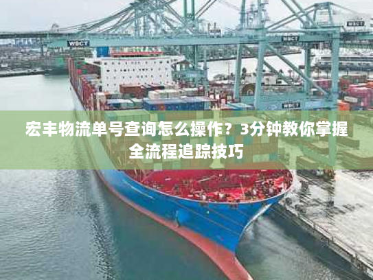 宏丰物流单号查询怎么操作?3分钟教你掌握全流程追踪技巧 宏丰物流单号查询怎么操作?3分钟教你掌握全流程追踪技巧