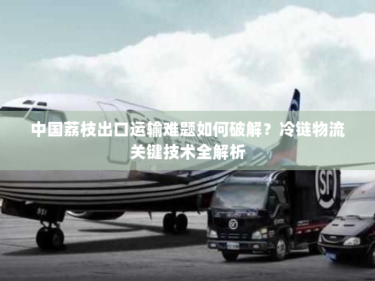 中国荔枝出口运输难题如何破解？冷链物流关键技术全解析