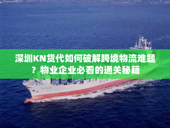 深圳KN货代如何破解跨境物流难题？物业企业必看的通关秘籍