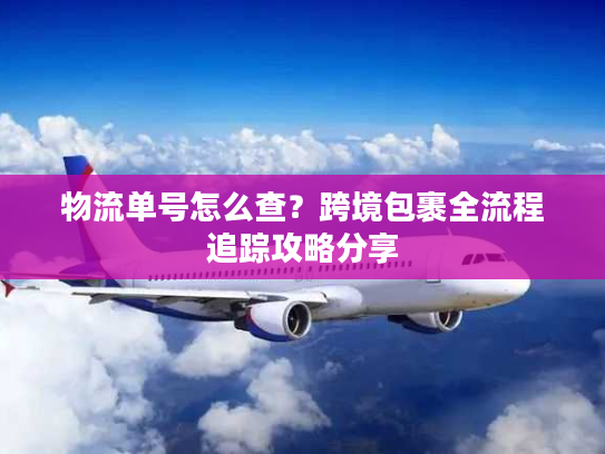 物流单号怎么查？跨境包裹全流程追踪攻略分享