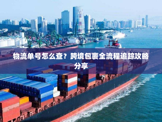 物流单号怎么查?跨境包裹全流程追踪攻略分享 物流单号怎么查?跨境包裹全流程追踪攻略分享