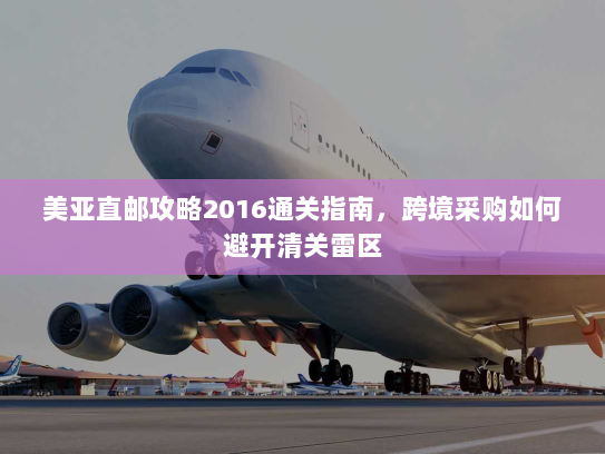 美亚直邮攻略2016通关指南，跨境采购如何避开清关雷区