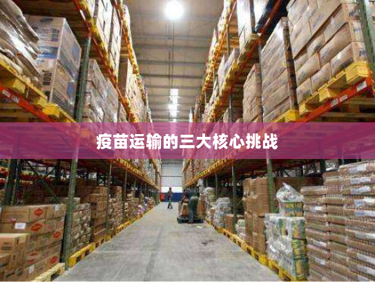 疫苗运输的三大核心挑战 疫苗运输的三大核心挑战