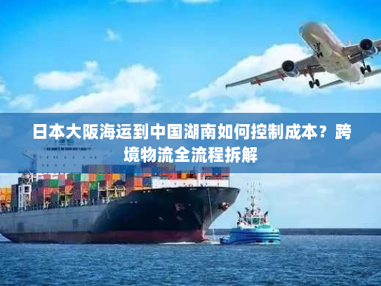 日本大阪海运到中国湖南如何控制成本？跨境物流全流程拆解