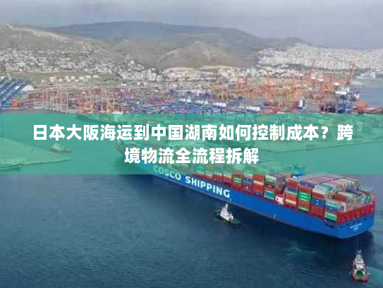 日本大阪海运到中国湖南如何控制成本？跨境物流全流程拆解