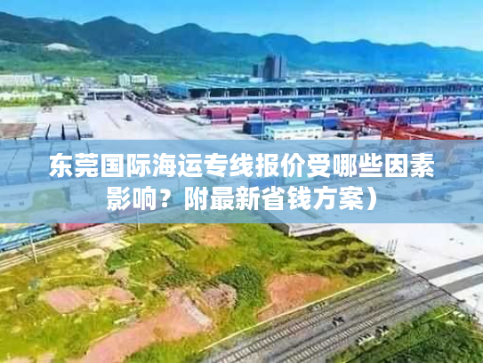 东莞国际海运专线报价受哪些因素影响？附最新省钱方案）