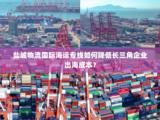 盐城物流国际海运专线如何降低长三角企业出海成本? 盐城物流国际海运专线如何降低长三角企业出海成本?