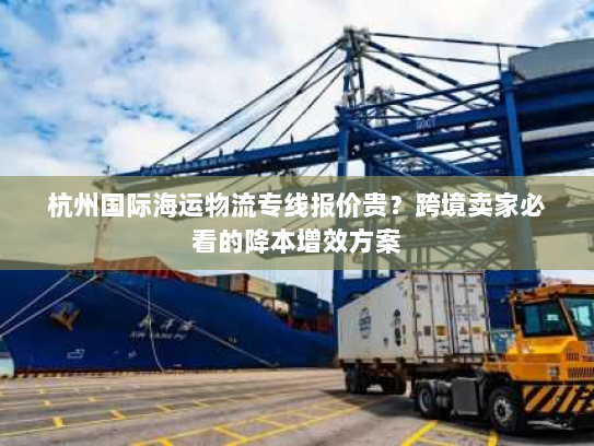 杭州国际海运物流专线报价贵？跨境卖家必看的降本增效方案