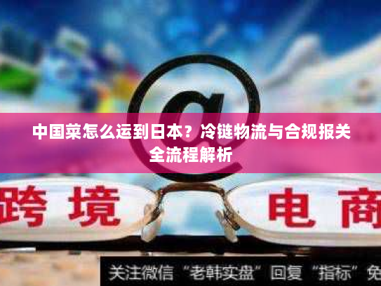 中国菜怎么运到日本？冷链物流与合规报关全流程解析