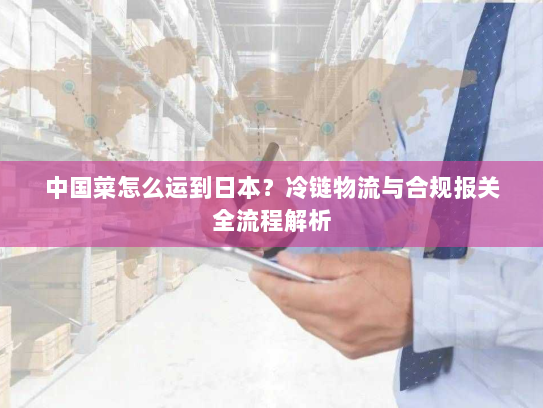 中国菜怎么运到日本？冷链物流与合规报关全流程解析