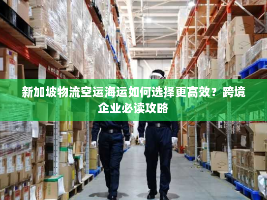 新加坡物流空运海运如何选择更高效?跨境企业必读攻略 新加坡物流空运海运如何选择更高效?跨境企业必读攻略
