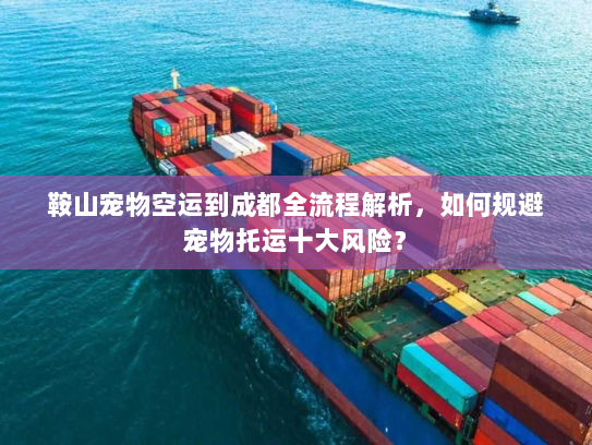 鞍山宠物空运到成都全流程解析，如何规避宠物托运十大风险？