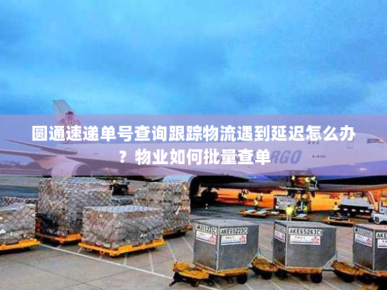 圆通速递单号查询跟踪物流遇到延迟怎么办?物业如何批量查单 圆通速递单号查询跟踪物流遇到延迟怎么办?物业如何批量查单