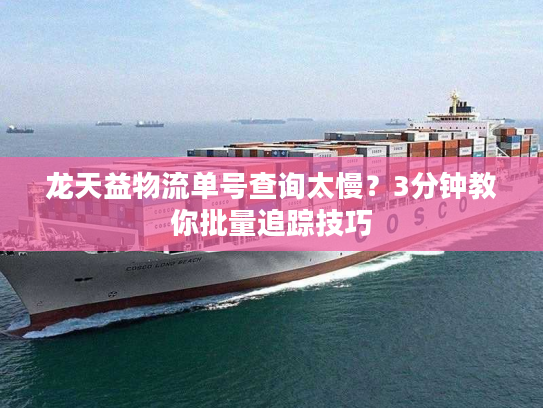龙天益物流单号查询太慢？3分钟教你批量追踪技巧