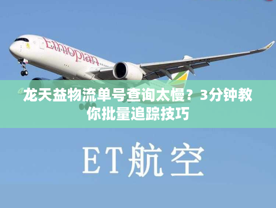 龙天益物流单号查询太慢？3分钟教你批量追踪技巧