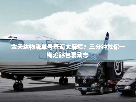 金天达物流单号查询太麻烦?三分钟教你一键追踪包裹动态 金天达物流单号查询太麻烦?三分钟教你一键追踪包裹动态