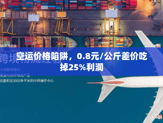 空运价格陷阱，0.8元/公斤差价吃掉25%利润