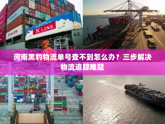 河南黑豹物流单号查不到怎么办？三步解决物流追踪难题
