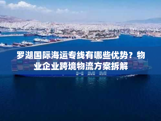 罗湖国际海运专线有哪些优势？物业企业跨境物流方案拆解
