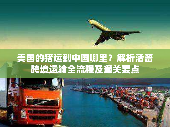 美国的猪运到中国哪里？解析活畜跨境运输全流程及通关要点