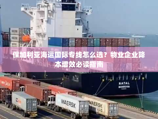 保加利亚海运国际专线怎么选?物业企业降本增效必读指南 保加利亚海运国际专线怎么选?物业企业降本增效必读指南