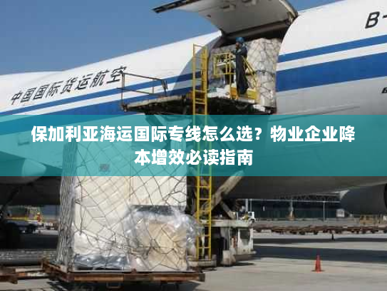 保加利亚海运国际专线怎么选?物业企业降本增效必读指南 保加利亚海运国际专线怎么选?物业企业降本增效必读指南