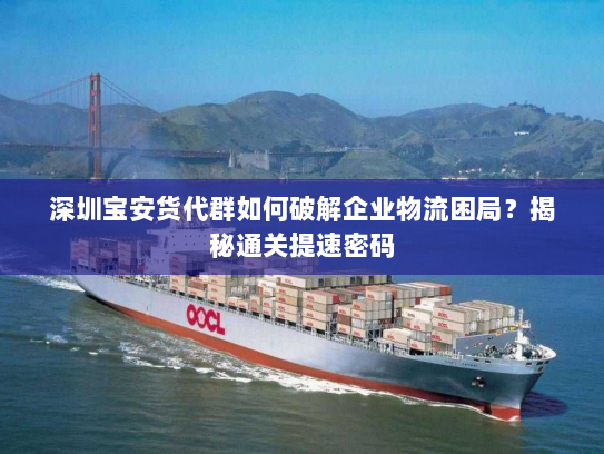 深圳宝安货代群如何破解企业物流困局？揭秘通关提速密码