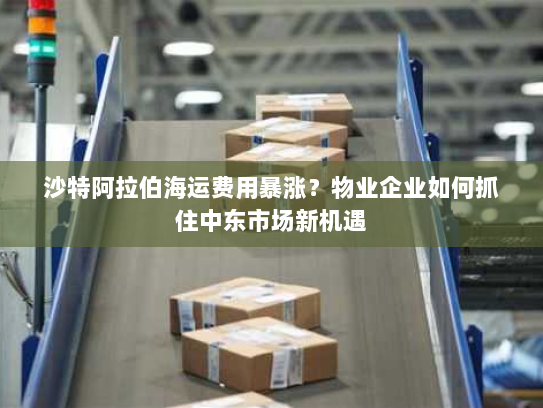 沙特阿拉伯海运费用暴涨?物业企业如何抓住中东市场新机遇 沙特阿拉伯海运费用暴涨?物业企业如何抓住中东市场新机遇