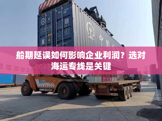 船期延误如何影响企业利润？选对海运专线是关键