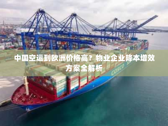 中国空运到欧洲价格高？物业企业降本增效方案全解析