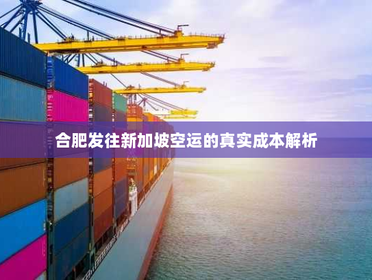 合肥发往新加坡空运的真实成本解析 合肥发往新加坡空运的真实成本解析