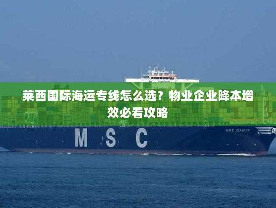 莱西国际海运专线怎么选？物业企业降本增效必看攻略