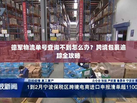 德军物流单号查询不到怎么办？跨境包裹追踪全攻略