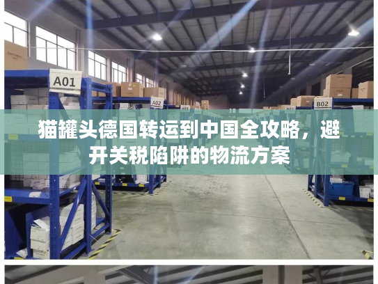 猫罐头德国转运到中国全攻略，避开关税陷阱的物流方案