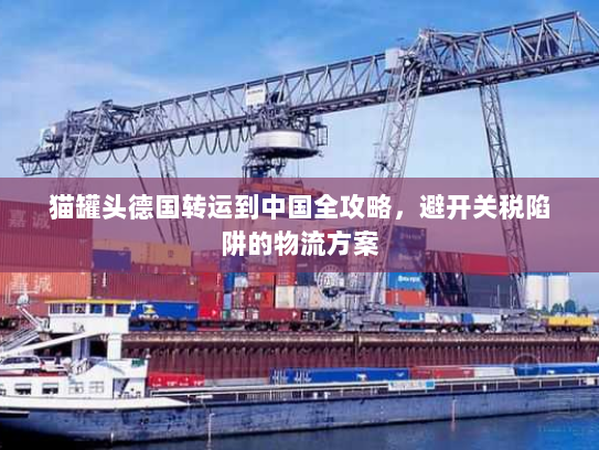 猫罐头德国转运到中国全攻略，避开关税陷阱的物流方案