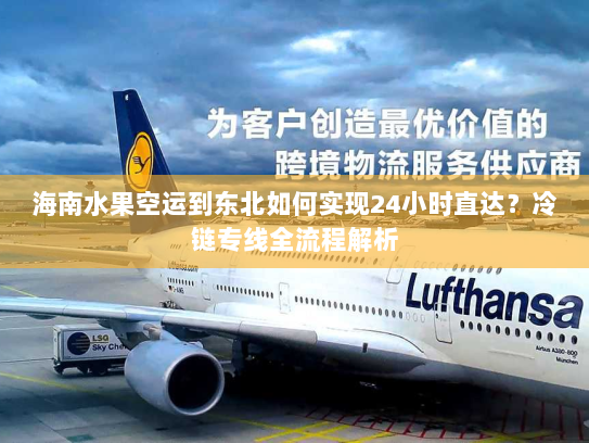 海南水果空运到东北如何实现24小时直达?冷链专线全流程解析 海南水果空运到东北如何实现24小时直达?冷链专线全流程解析