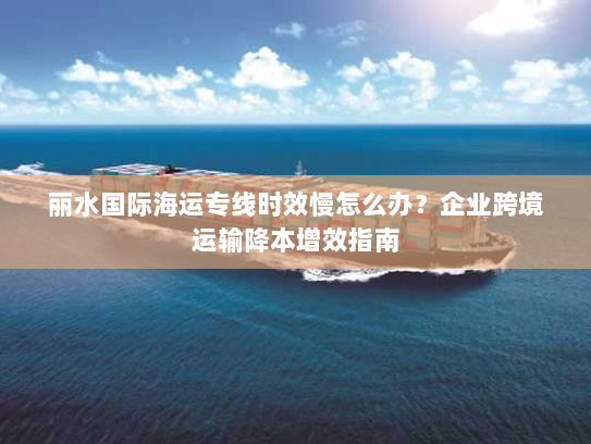 丽水国际海运专线时效慢怎么办?企业跨境运输降本增效指南 丽水国际海运专线时效慢怎么办?企业跨境运输降本增效指南