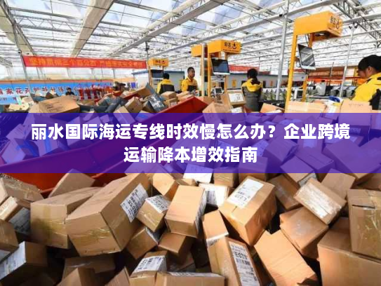 丽水国际海运专线时效慢怎么办?企业跨境运输降本增效指南 丽水国际海运专线时效慢怎么办?企业跨境运输降本增效指南