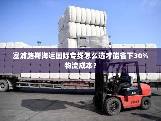 塞浦路斯海运国际专线怎么选才能省下30%物流成本? 塞浦路斯海运国际专线怎么选才能省下30%物流成本?