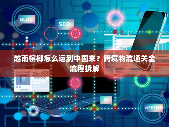 越南槟榔怎么运到中国来?跨境物流通关全流程拆解 越南槟榔怎么运到中国来?跨境物流通关全流程拆解