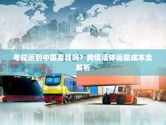 考拉运到中国要钱吗?跨境活体运输成本全解析 考拉运到中国要钱吗?跨境活体运输成本全解析