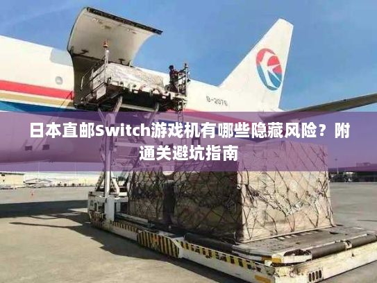 日本直邮Switch游戏机有哪些隐藏风险？附通关避坑指南