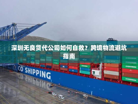 深圳无良货代公司如何自救?跨境物流避坑指南 深圳无良货代公司如何自救?跨境物流避坑指南