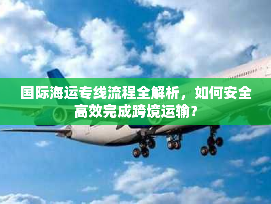 国际海运专线流程全解析，如何安全高效完成跨境运输？
