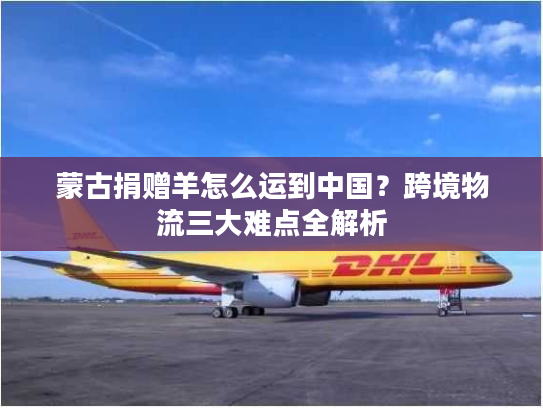 蒙古捐赠羊怎么运到中国？跨境物流三大难点全解析