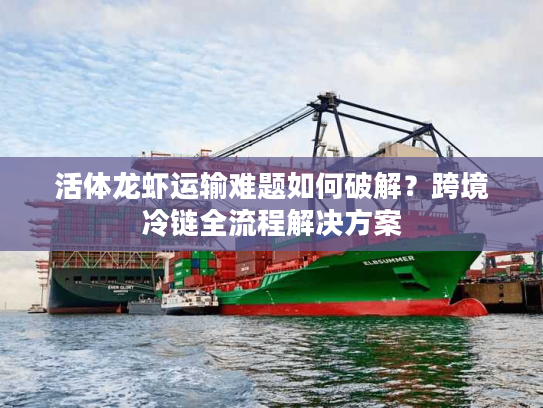 活体龙虾运输难题如何破解？跨境冷链全流程解决方案